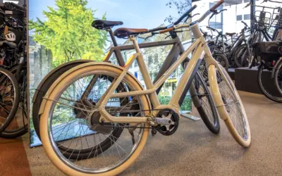 Riesewijk Tweewielers is nu ook Veloretti-dealer!