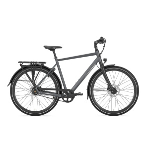 GAZELLE Chamonix S11 HEREN Cloud Grey Mat 61cm 2024