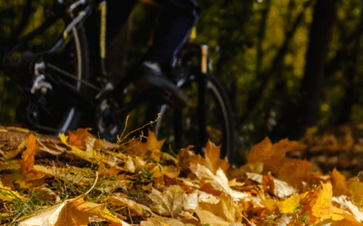 Zo houd je je e-bike in topvorm in de herfst