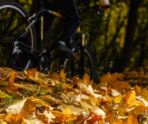 Riesewijk Tweewielers