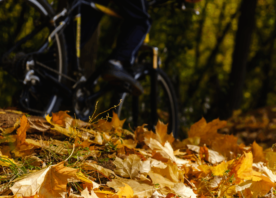 Zo houd je je e-bike in topvorm in de herfst