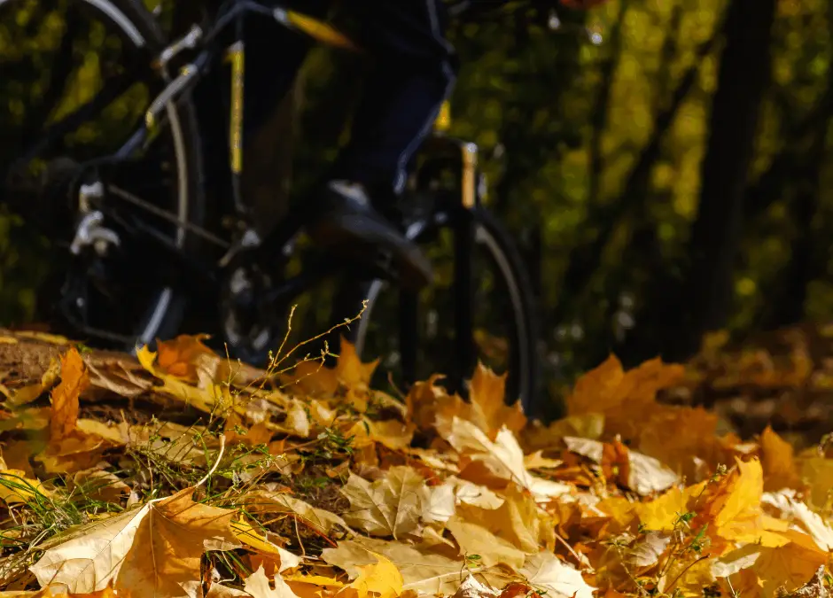 Zo houd je je e-bike in topvorm in de herfst