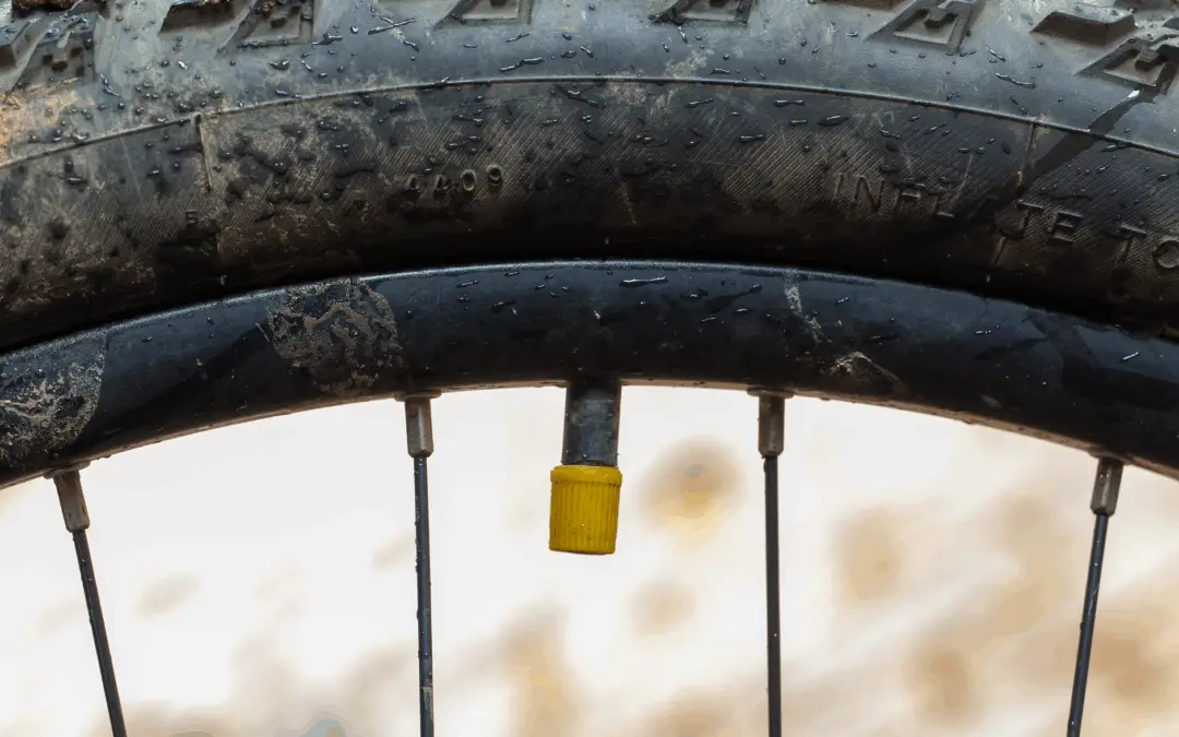 Welke soort fietsventielen zijn er?